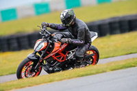 PJ-Motorsport-2019;anglesey-no-limits-trackday;anglesey-photographs;anglesey-trackday-photographs;enduro-digital-images;event-digital-images;eventdigitalimages;no-limits-trackdays;peter-wileman-photography;racing-digital-images;trac-mon;trackday-digital-images;trackday-photos;ty-croes
